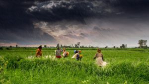 poverty-fighting advances in agriculture