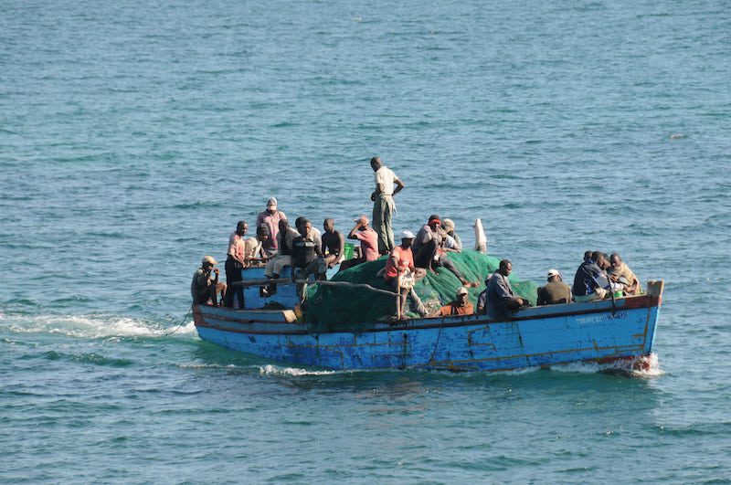 Shark Conservation Alleviates Poverty