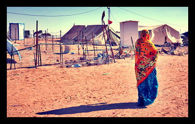 refugee_opt