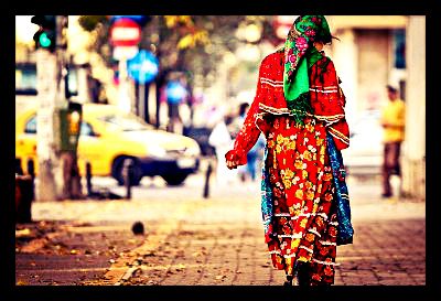 Roma "Gypsies" roma_gypsies_inter-schengen_mgration