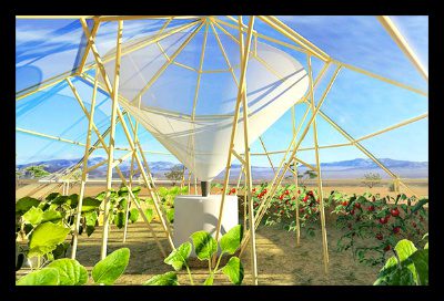 Roots Up's Dew-Collecting Greenhouse - The Borgen Project