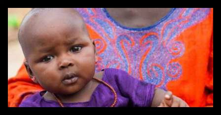 Marketplace for Nutritious Foods in Kenya and Mozambique