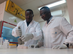 Sickle Cell Anemia in Sub-Saharan Africa