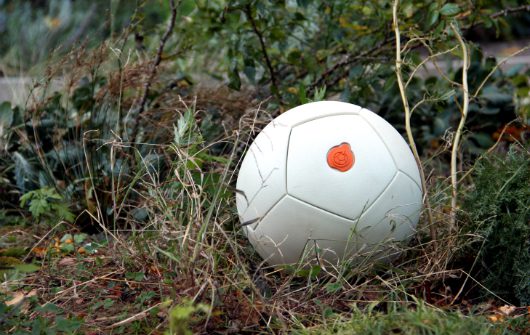 soccer_and_Global_Poverty