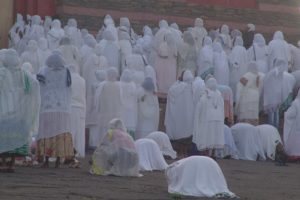 social media interactions in Eritrea
