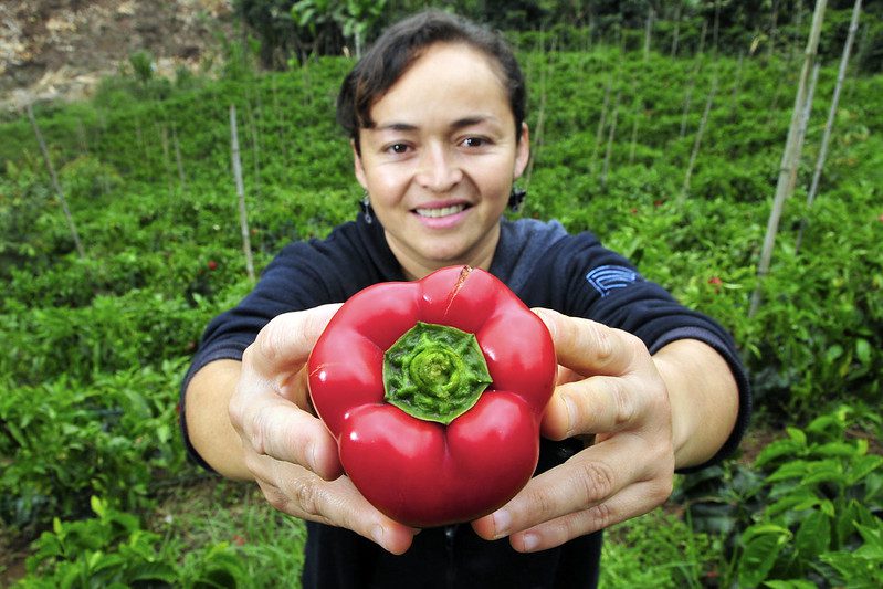 sustainable farming practices