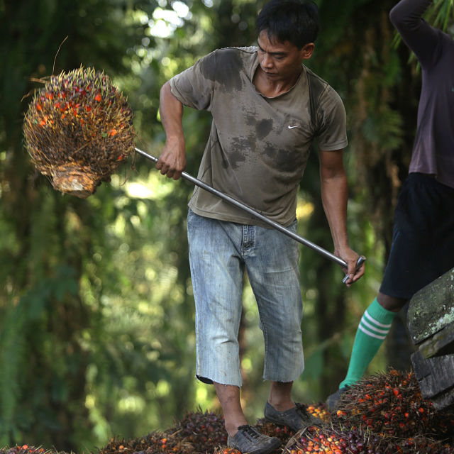 sustainable agriculture in Malaysia