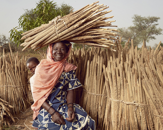 sustainable agriculture in Niger
