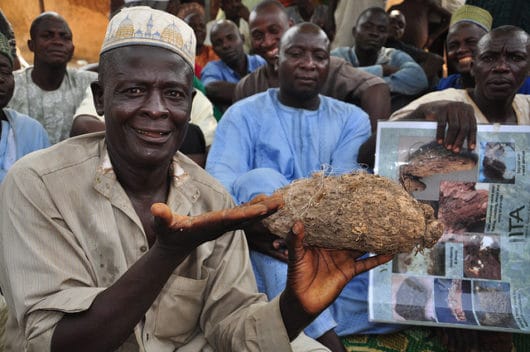sustainable agriculture in Nigeria
