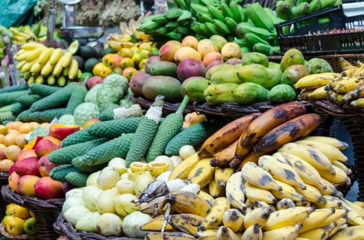 sustainable agriculture in St. Vincent and the Grenadines