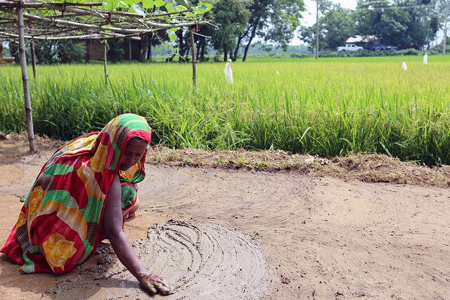sustainable agriculture in bangladesh