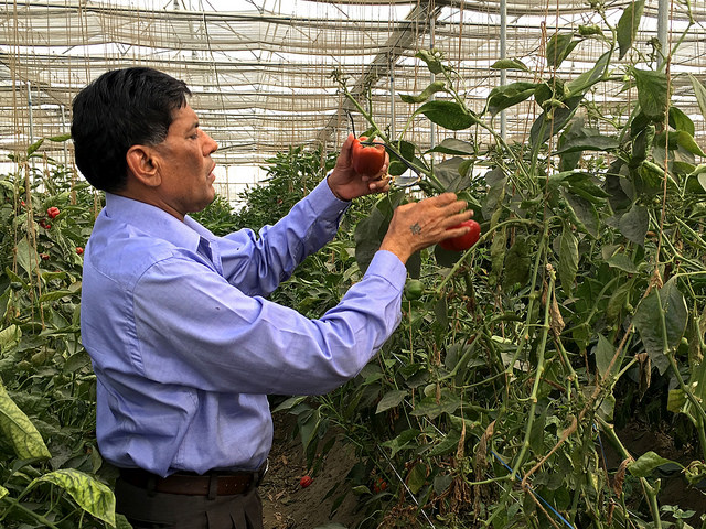 sustainable agriculture in india