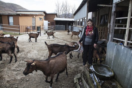 sustainable agriculture in kosovo