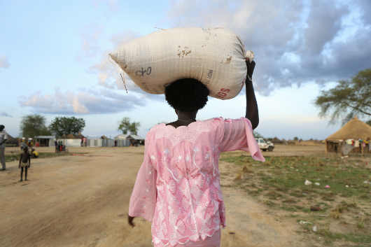 sustainable_development_goals
