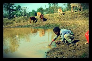 syria water