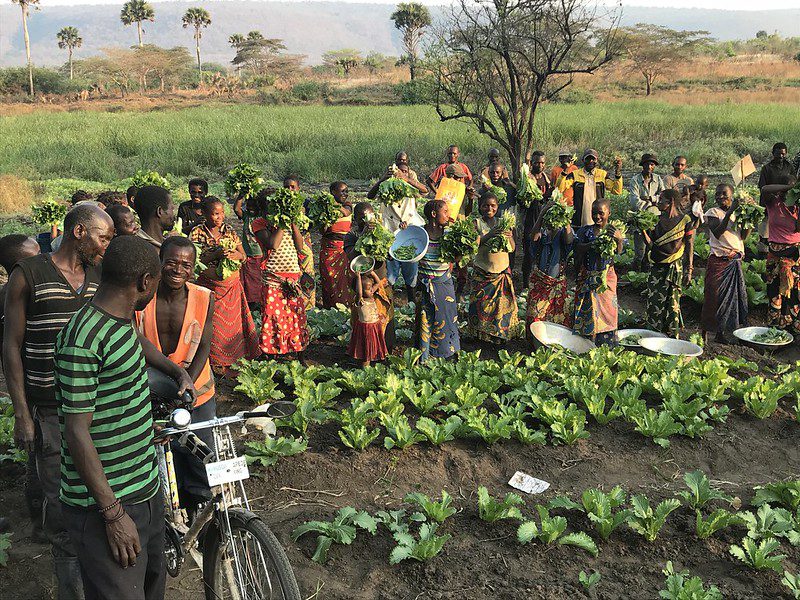 Aiding the Democratic Republic of the Congo