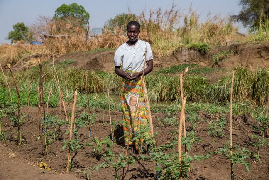 tools to solve farmer poverty