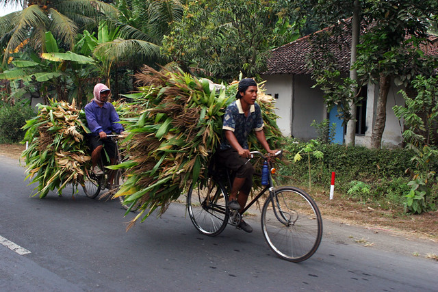 transportation impacts poverty