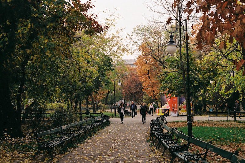 Romania Battles Recent Diseases