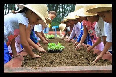 urban agriculture
