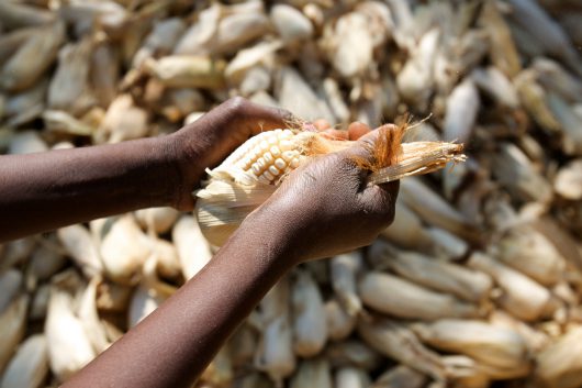 urban_food_security