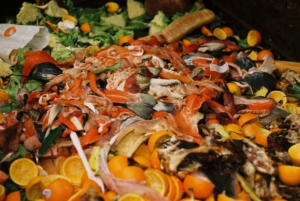 usa food waste