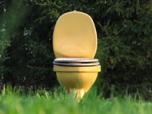uses of human waste
