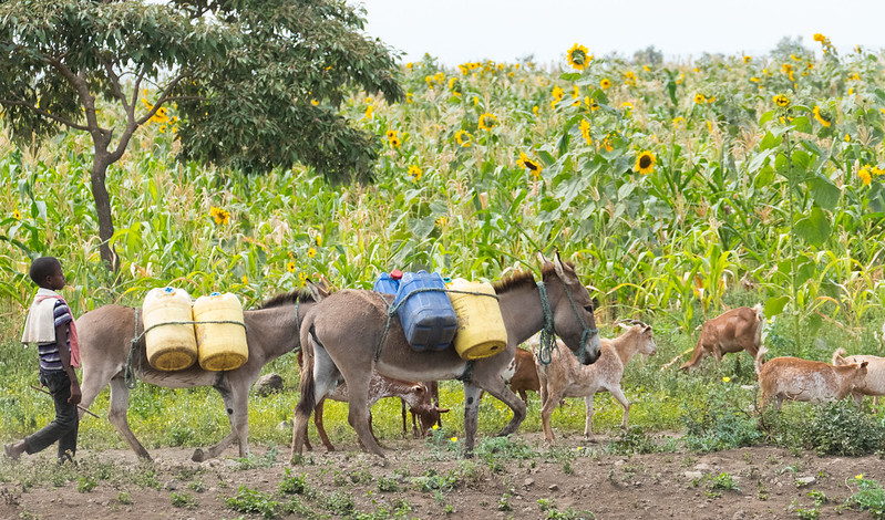 water management in africa